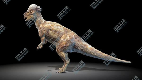 images/goods_img/20210312/Pachycephalosaurus model/5.jpg